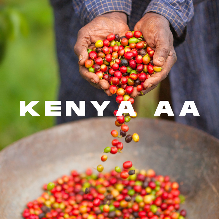 Kenya AA Excellence