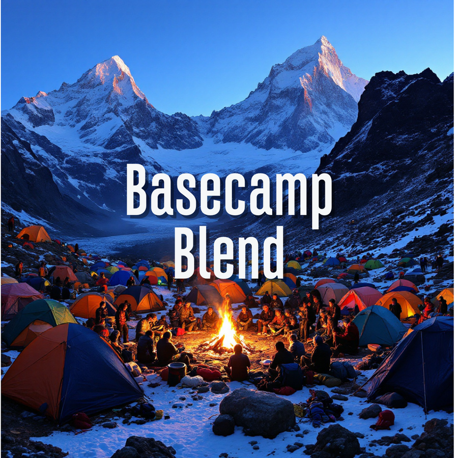 Basecamp Coffee