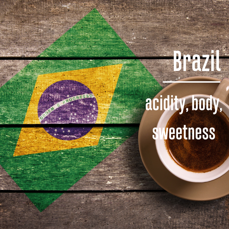 Brazil Cerrado Coffee | Chocolate Flavor Coffee | Fuzion Coffee Co.